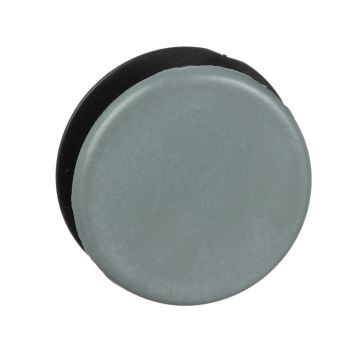 Blanking plug, Harmony 9001K, Harmony 9001SK, grey, 30mm
