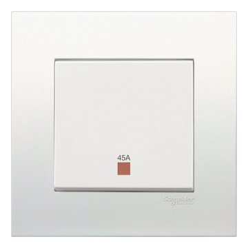 45A DOUBLE POLE SWITCH
