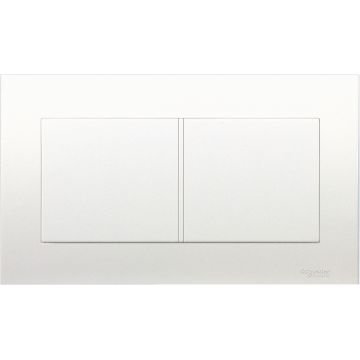 TWIN GANG BLANK PLATE