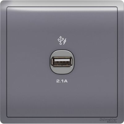 Pieno - 1 x 2.1A USB Charger - Lavender Silver